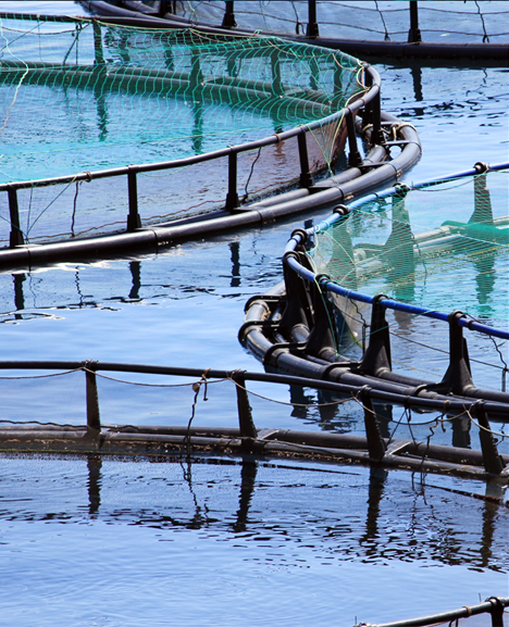 Aquaculture Fish Farm Oxygen Gas supply image