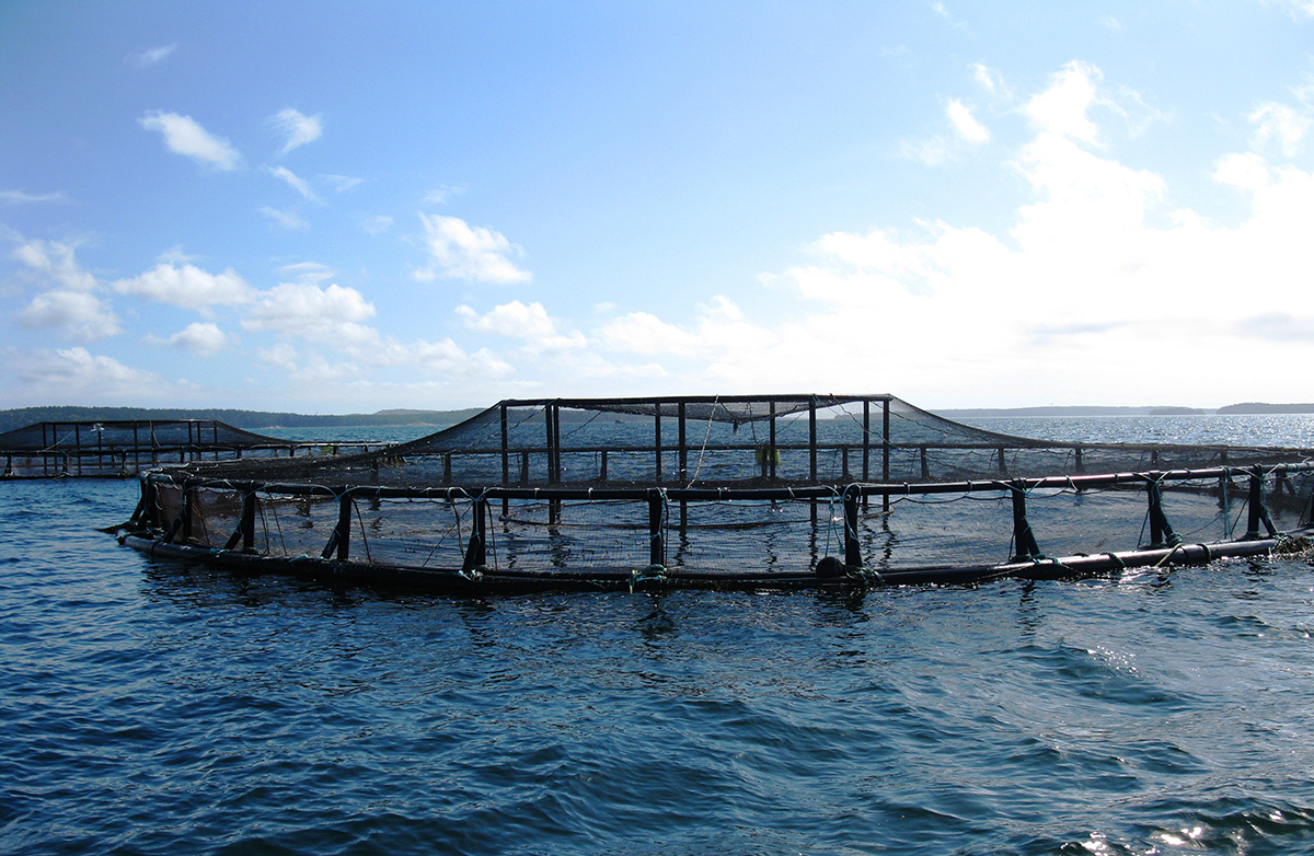 AQUACULTURE