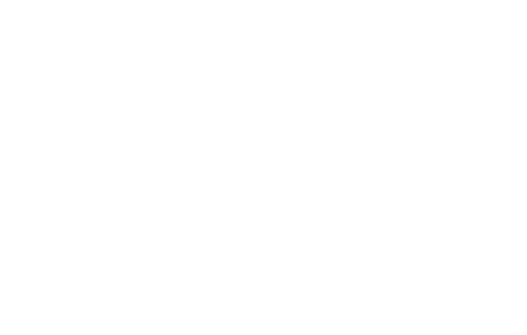 Economy efficiency