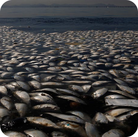 Malacca river problem